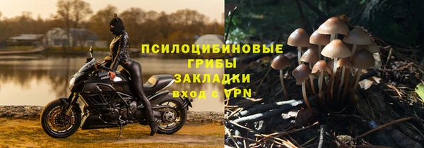 apvp Туринск