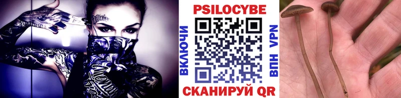 Псилоцибиновые грибы Psilocybine cubensis  Купить  Череповец 